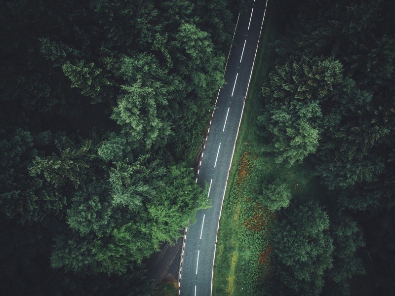 forest, trees, aerial view, 1080P, road