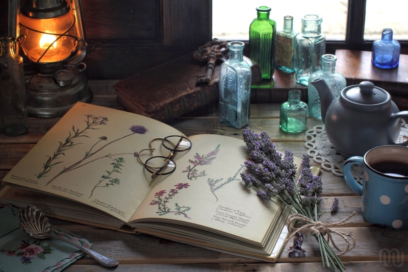 publication, bottle, electric Lamp, book, ornate, floral pattern, lavender, container, drawings, glass, lamp, retro Styled, paper, cultures, ink, rustic