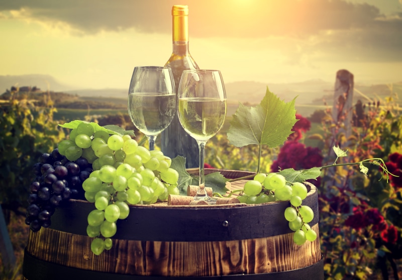 tube, wine, landscape, bottle, barrel, glasses, 4K, grapes