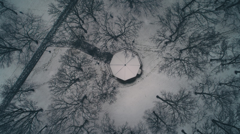 trees, aerial view, low, fog, tree, octagon, snow, ceiling, no people, beauty in nature, grayscale, winter, tranquility, 5K, covered, bare, forest, plant