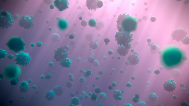 full frame, underwater, bubble, backgrounds, no people, 1080P, multi colored, close-up, indoors, particles, sea, Abstract, animals in the wild, sea life