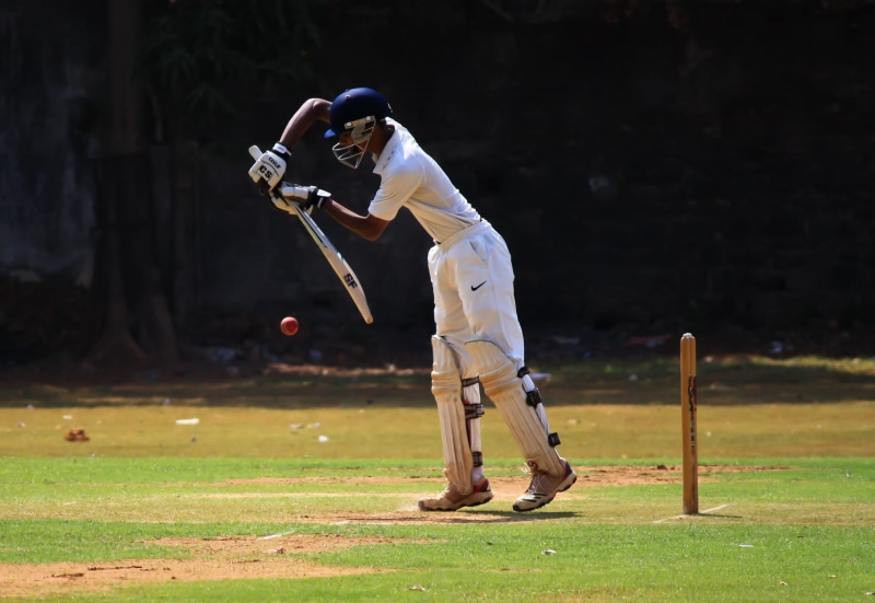 daytime, defensive, gear, activity, adult, baseball Player, grass, batsman, green field, nature, equipment, green, cricket, standing, game, 2K, people