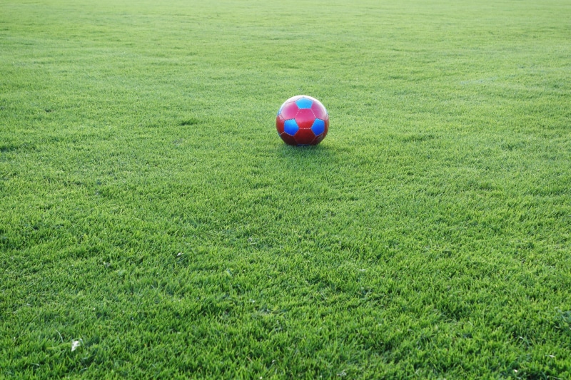 red, grass, growth, football match, nature, world championship, no people, soccer, blue, 5K, land, football, ball, sport, leisure activity, high angle view