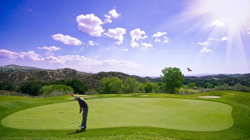 fairway, game, adult, outdoor, golf clubs, golf Club, green, field, grass, golf Course, recreation, sport, activity, green - golf course, person, hole