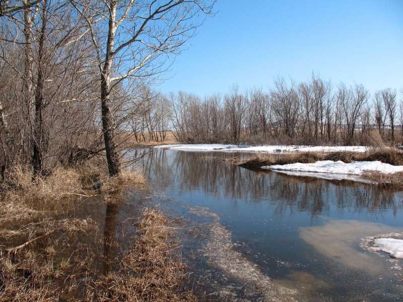 rural Scene, non-Urban Scene, lot, forest, beauty In Nature, no people, melting snow, frozen, dirt, river, frost, cold temperature, water, tree, tranquil Scene