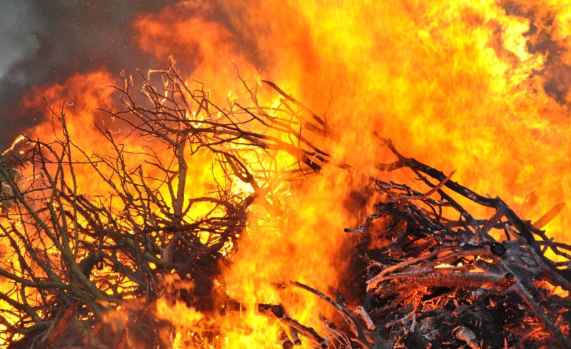 hot, red, bonfire, no people, smoke, inferno, environmental damage, accidents and disasters, warning sign, burning, pollution, environmental issues, glowing