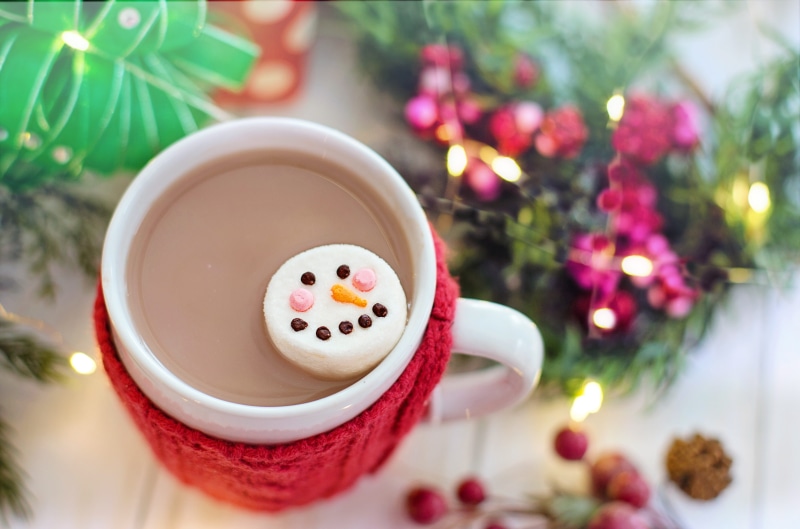 hot, comfort, christmas ornament, cozy, beverage, christmas, indoors, indulgence, close-up, plant, hot chocolate, selective focus, hot drink, sweet food