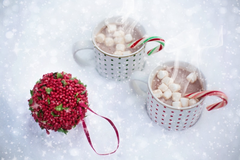 table, sweet food, indoors, day, eating utensil, scarf, freshness, seasonal, ceramic, spoon, filled, two, white, sweet, happy, close-up, food and drink