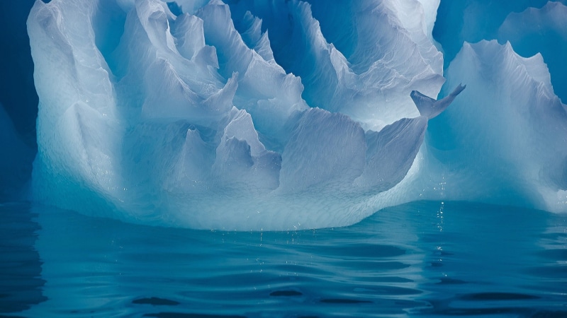 environment, blue, nature, 1080P, no people, frozen, landscape, glaciers, iceberg - ice formation, glacier, animal themes, snow, floating on water, cold temperature