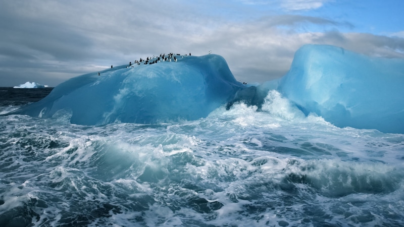 landscape, environment, ice, cloud - sky, berg, glacier, cold temperature, sea, no people, beauty in nature, iceberg, outdoors, water, floating on water