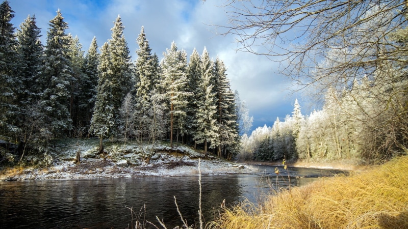 beauty in nature, outdoors, cloud - sky, scenics - nature, 1080P, woodland, no people, plant, water, green, land, sky, winter, lake, trees, tree, day