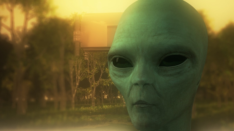 celebration, head, stranger, religion, representation, the march hare, ufo, outdoors, horror, sky, 1080P, plant, universe, mystery, flying saucer, 3d model