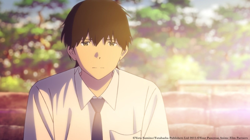 Haruki Shiga, 1080P, I Want To Eat Your Pancreas, Anime