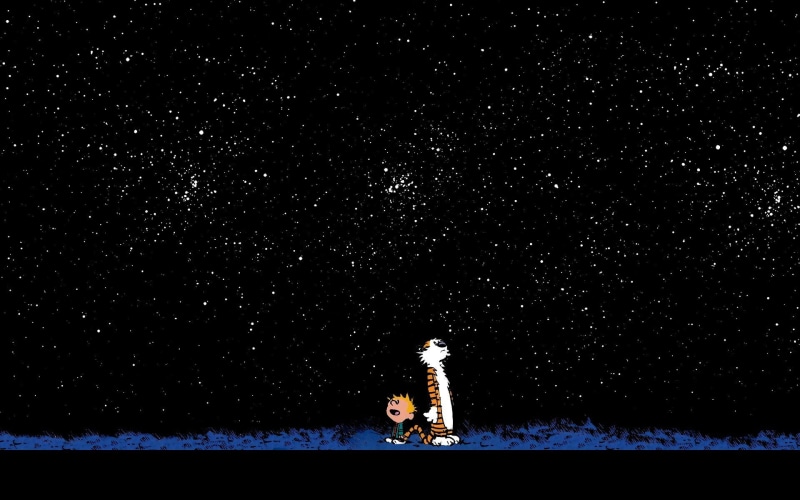 men, lifestyles, Calvin and Hobbes, illustration, star - space, sky, illuminated, nature, land, copy space, cold temperature, standing, tree, water, real people