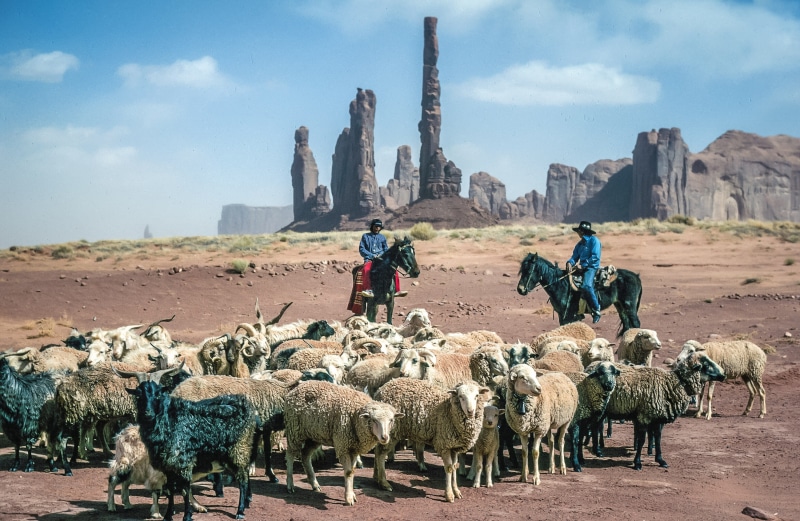 hat, cattle trail, travel, red, group of people, mammal, roundup, navajo, animal wildlife, cowboys, horseback, agriculture, herder, american, countryside