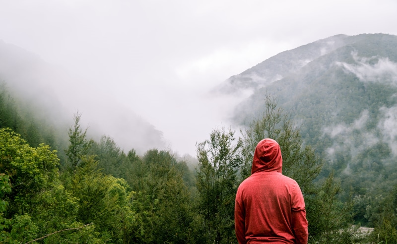 tree, summit, landscape, environment, forest, red, adult, mountain peak, standing, 5K, hoodie, fogy, scenics - nature, guy, plant, women, middle, adventure
