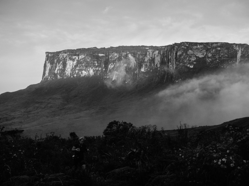 energy, adventure, life, landscape, tree, mountain, rock formation, rock - object, day, sun, environment, Roraima, no people, formation, land, plant, tranquil scene