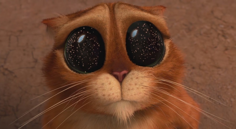 one animal, animal nose, looking at camera, domestic animals, animal body part, focus on foreground, animal themes, domestic, vertebrate, close-up, pets