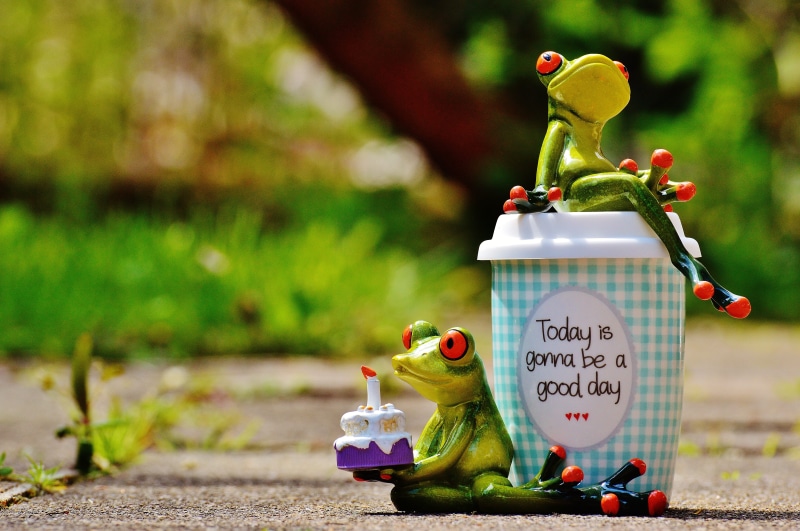 positive, figurines, no people, life is beautiful, funny, container, close-up, frog, cheerful, emotion, creativity, plant, communication, beautiful day