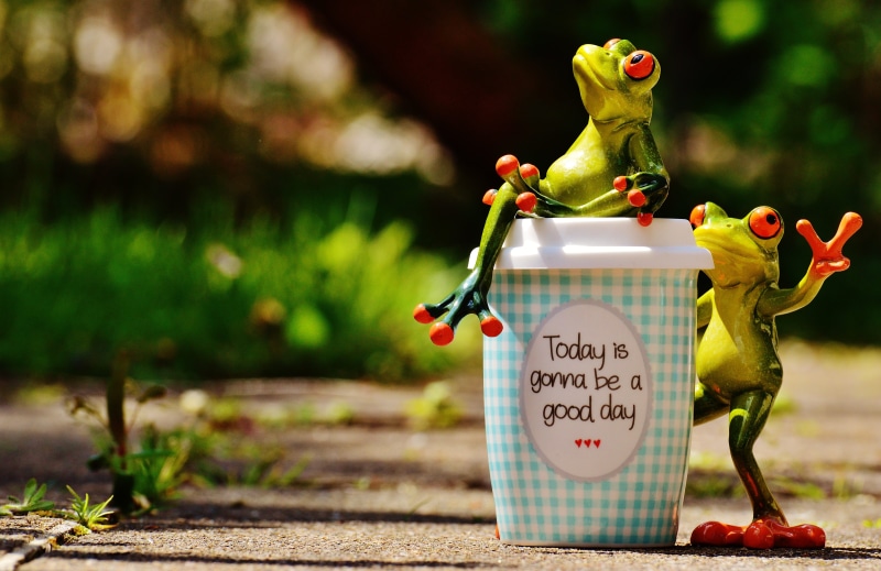 positive, no people, frogs, toy, nature, close-up, art and craft, beautiful day, life is beautiful, text, beginning, 5K, good mood, joy of life, laugh