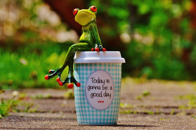 figurine, Cup, western script, coffee, cheerful, message, creativity, sweet, good mood, sign, emotion, cup, joy of life, container, beginning, life is beautiful