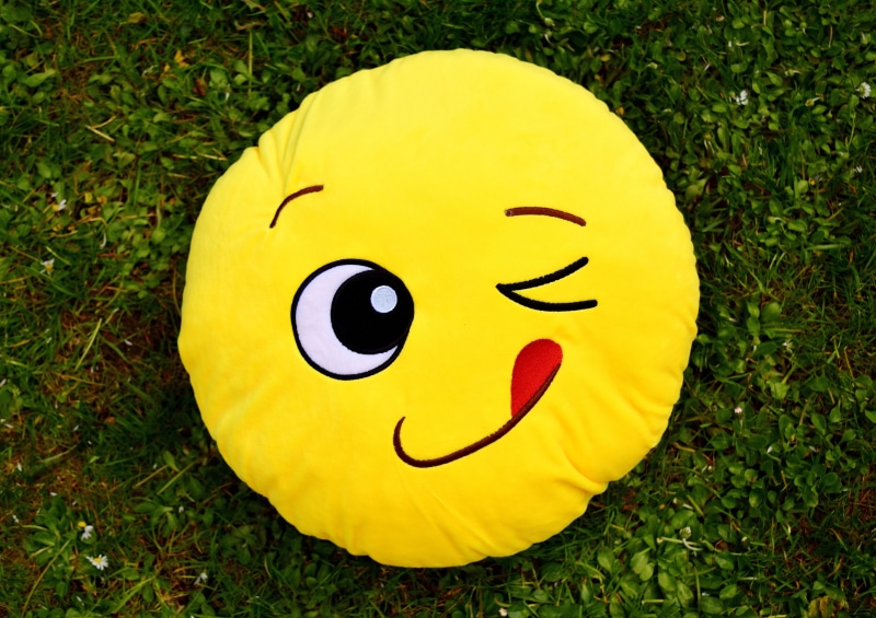 field, representation, anthropomorphic face, land, no people, color, close-up, anthropomorphic, meadow, yellow, face, happy, fun, still life, nature, Smiley