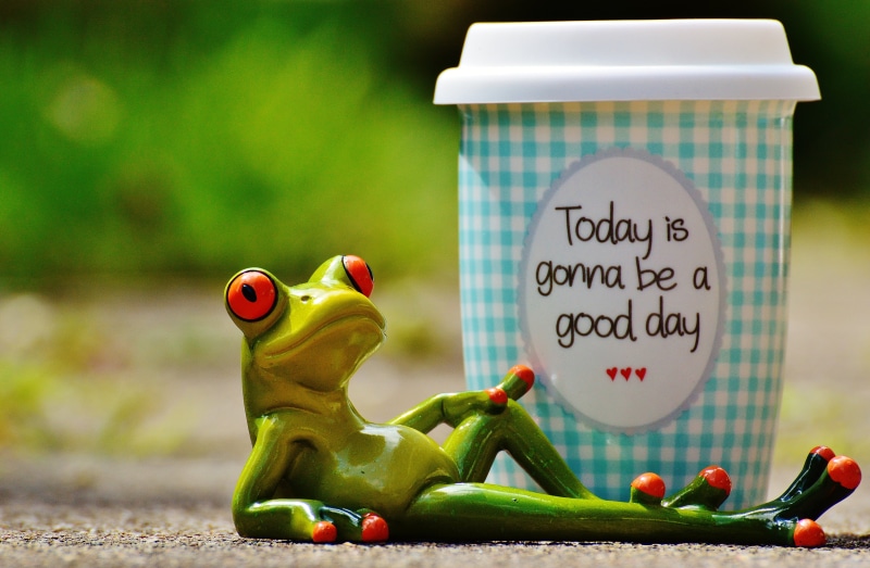 vegetable, figurine, pep talk, funny, one animal, cup, frog, green color, beginning, good mood, frogs, courage, no people, positive, nature, keep smiling