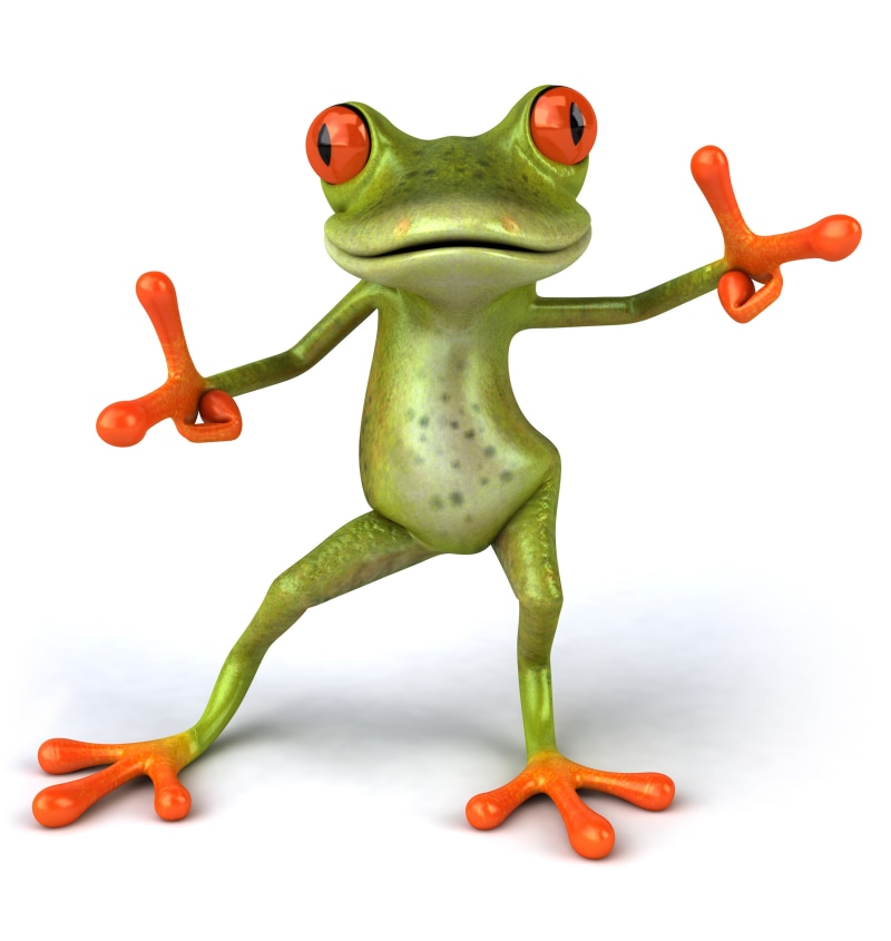 animals, frogs, 4K, Cartoons, art, hd, x
