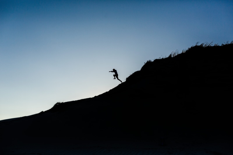 scenics - nature, clear sky, animal wildlife, dune, beauty in nature, lifestyle, copy space, silhouette, blue, animals in the wild, minimal, 5K, outdoors