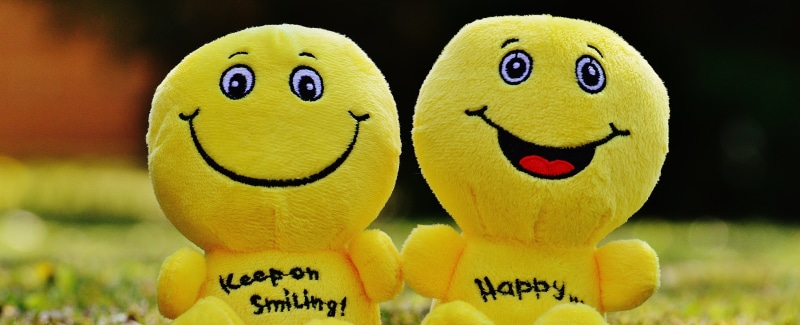 yellow, frohnatur, celebration, anthropomorphic smiley face, animal representation, start, green, laughing face, cute, smile, smiley, funny, good mood
