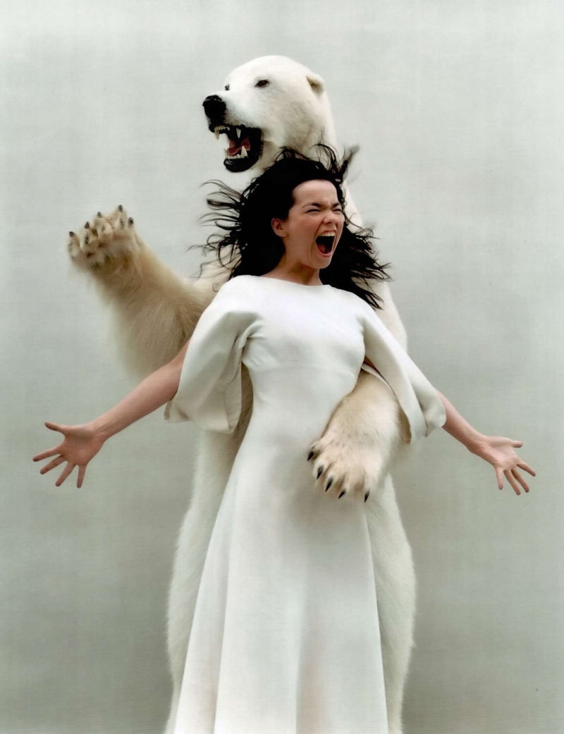 x, polar, polar bears, art, 1080P, bjrk, bears, animals, hd, Björk