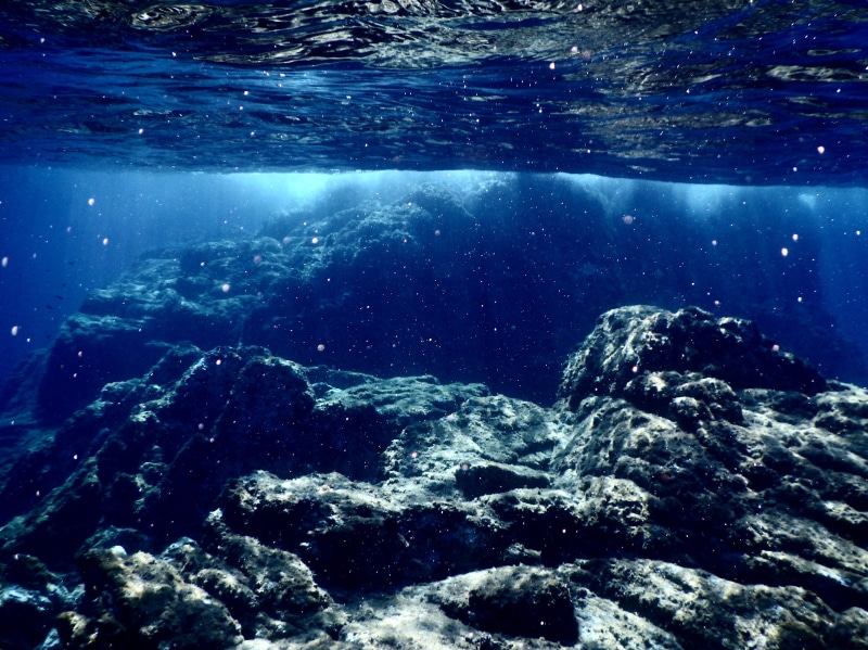 outdoors, sea life, no people, 4K, nature, animal, water, marine, day, diving, underwater, animal wildlife, scenics - nature, rock - object, sea, animal themes