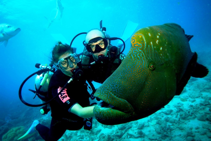 sea, fish, ocean, scuba, underwater, diving, diver, 2K