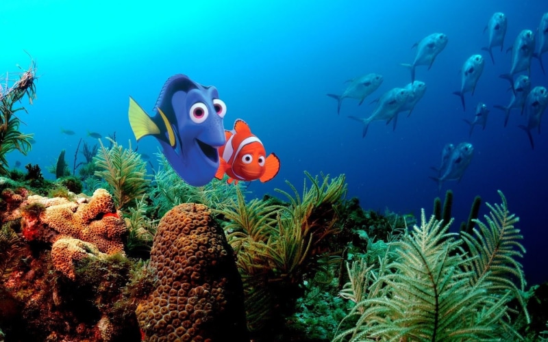 Finding Nemo, sea life, nature, animal, animals in the wild, blue, coral, beauty in nature, swimming, ecosystem, animal themes, Dory (Finding Nemo), Marlin (Finding Nemo)