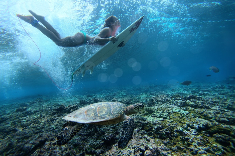 girl, underwater, sea, Surfing, 4K