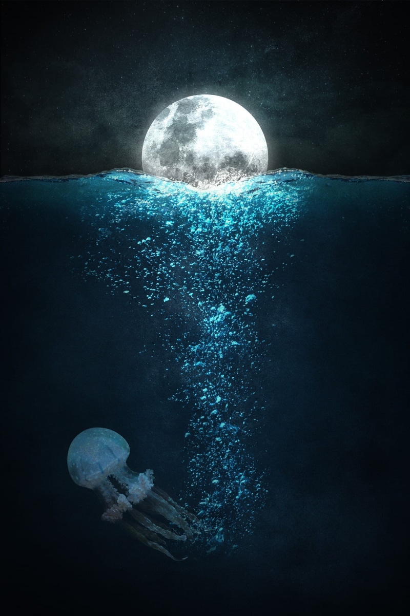 sea life, sky, deep, water, star - space, underwater, astronomy, marine, full, animals in the wild, planetary moon, no people, moon, outdoors, sea, night
