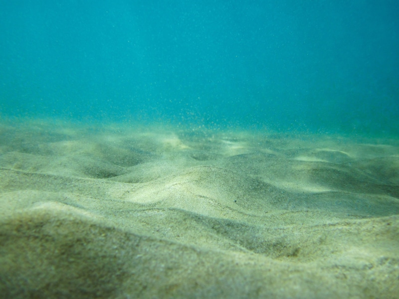 4K, scenics - nature, brown, ocean floor, turquoise Colored, nature, underwater, undersea, vacations, day, floor, marine, beauty in nature, summer, blue