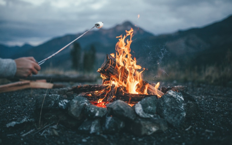 marshmallows, fireplace, 1080P, fire