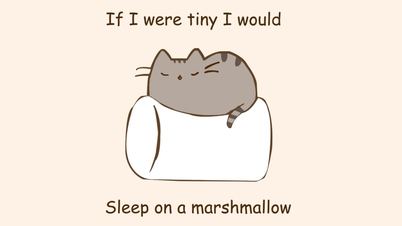 quote, artwork, humor, 1080P, cat, marshmallows, pusheen