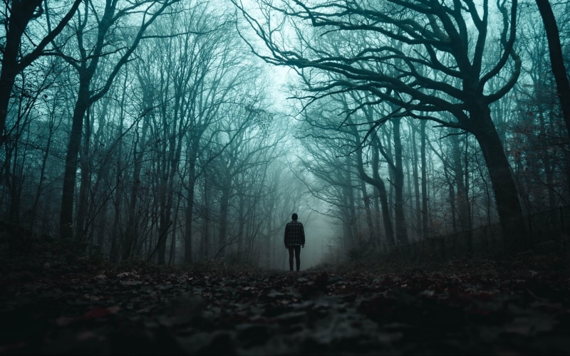 1080P, alone, outdoors, trees, dark, men