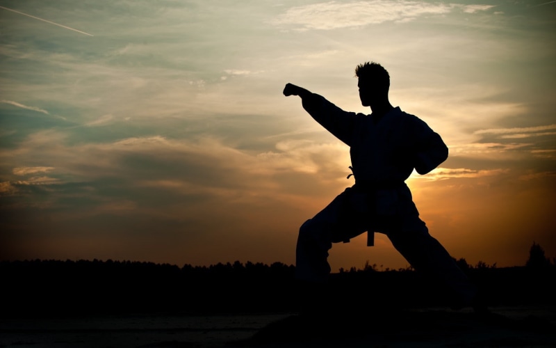 trees, martial arts, sunset, nature, clouds, men outdoors, kimono, men, 720P, silhouette, belt