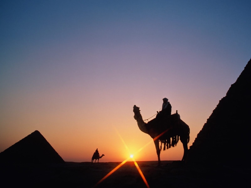 domestic animals, pyramid, 720P, copy space, ride, domestic, camel, working animal, men outdoors, riding, people, sun, pets, silhouette, Pyramids of Giza