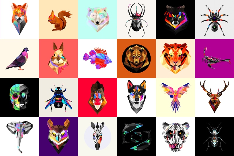 creativity, composite image, art and craft, human body part, multicolored, animals, mammal, collage, body part, Facets, representation, people, arms raised