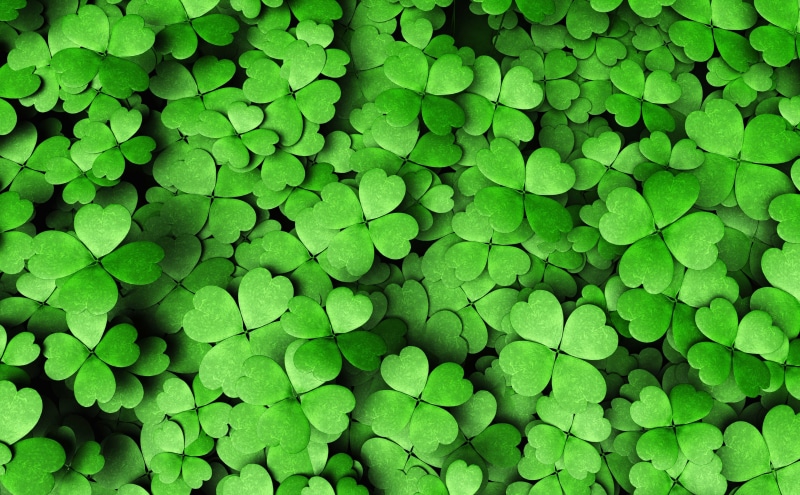 four, large group of objects, leaf, abundance, outdoors, close-up, beauty in nature, plant, Patrick, no people, Green, Lucky, green color, Holidays, freshness