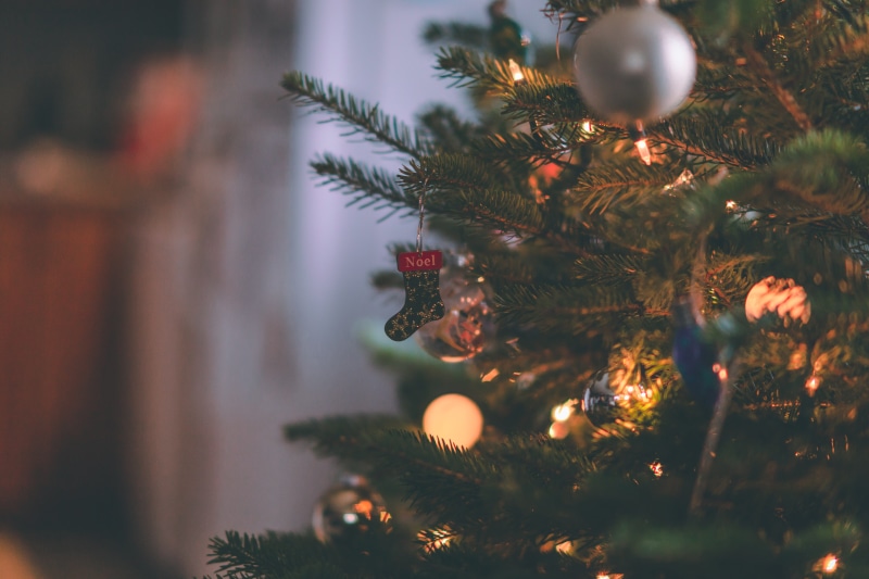 plant, xmas, photography, illuminated, selective focus, blur, celebration, christmas decorations, christmas ornament, christmas decoration, stockings, christmas stocking