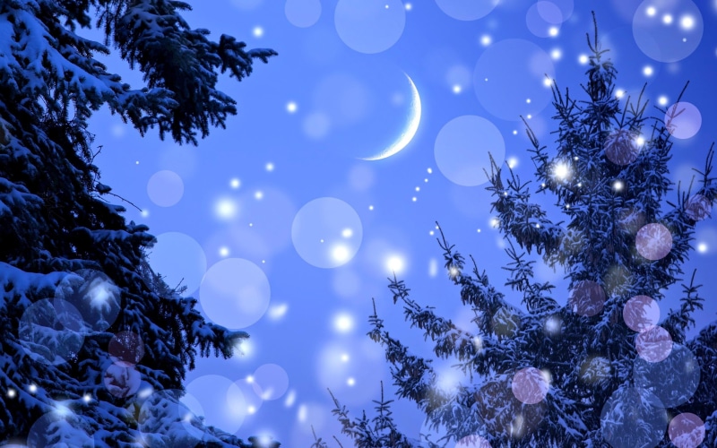 new year, 2K, trees, snowflakes, happy holidays, happy new year, snow, winter, decorations, lovely, holidays, merry christmas, covered, night