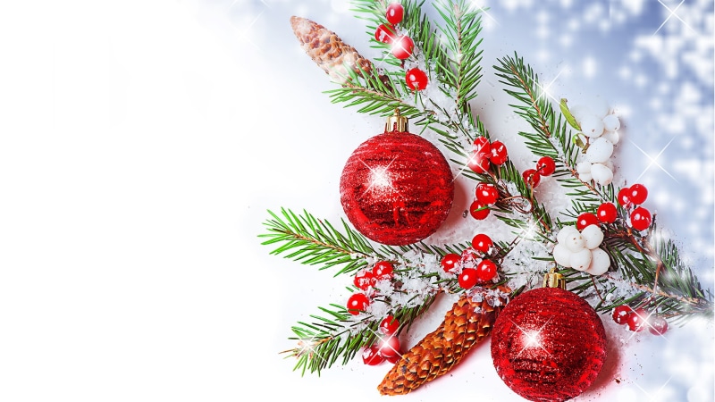 decoration, ornate, christmas, plant, winter, border, tree, celebration, seasonal, evergreen, backdrop, twig, natural, december, decorative, eve, snowflake