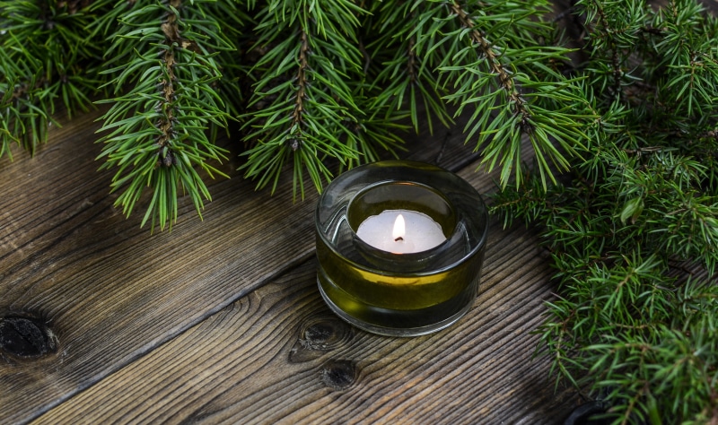 seasonal, no people, garlands, plank, food, branch, close-up, december, growth, 2K, high angle view, leaf, winter, decorative, wood - material, xmas, tealight