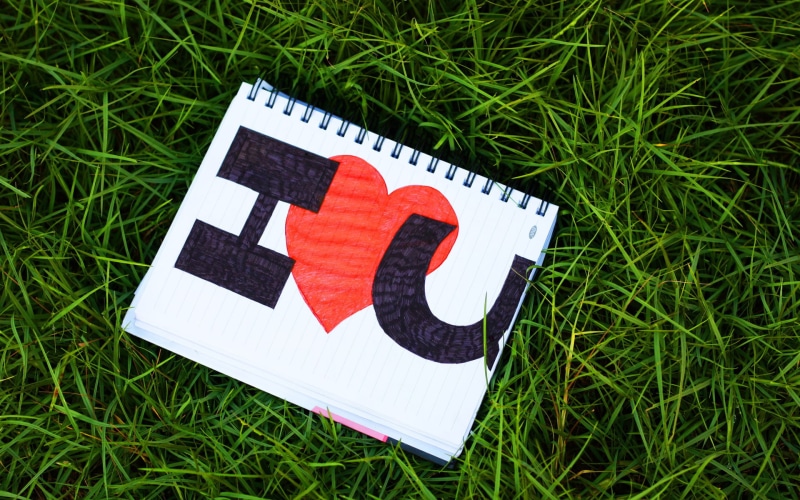 grass, lettering, heart, love, valentine 039 s, day, 1080P, text, notebook