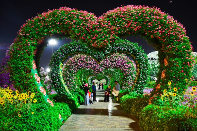 growth, hedge, park - man made space, formal garden, flower garden, purple, men, 5K, tree, illuminated, garden, night, real people, grass, love, park
